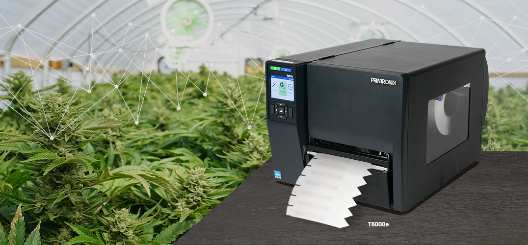 How the Cannabis Industry Uses RFID Technology to Cultivate Business Intelligence from Seed to Sale
