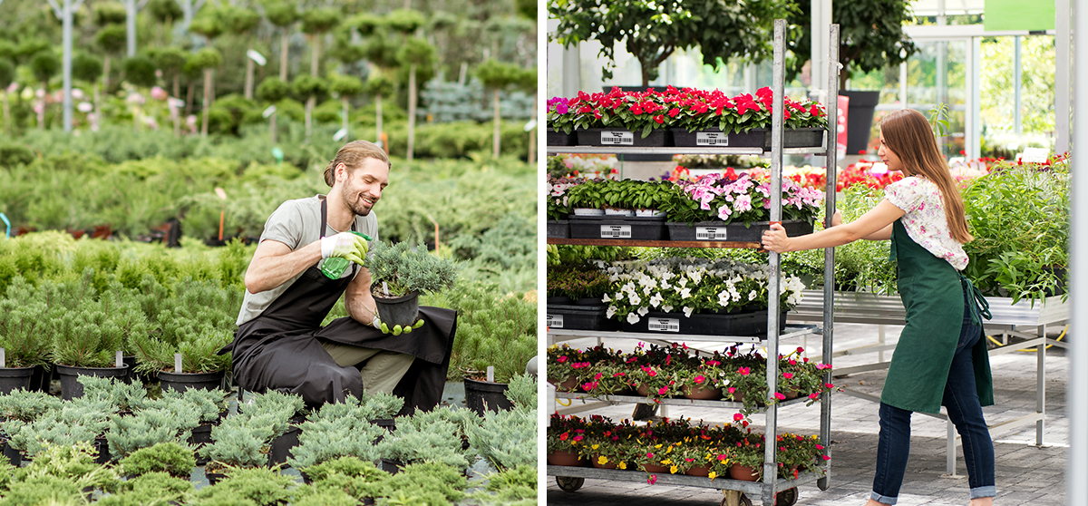 Track Plant Inventory with Confidence Using Our Thermal Printers Designed for the Horticulture Industry Track Plant Inventory with Confidence Using Our Thermal Printers Designed for the Horticulture Industry