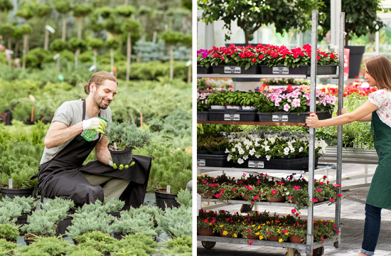 Track Plant Inventory with Confidence Using Our Thermal Printers Designed for the Horticulture Industry