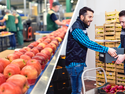 How RFID and Barcode Verification Technology Improve Your Food and Beverage Tracking